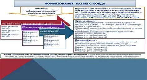 Паевые взносы: сущность и значение