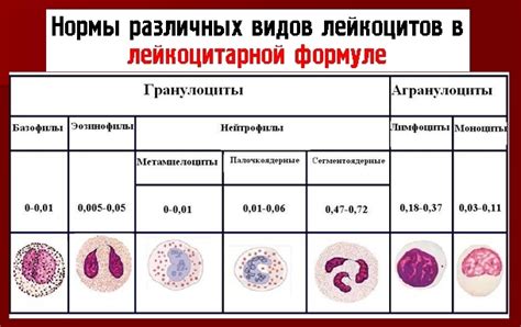 Палочкоядерные нейтрофилы низкий и связанные заболевания