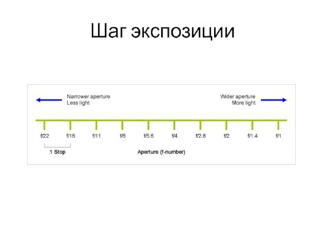 Параметры, влияющие на экспозицию резцов