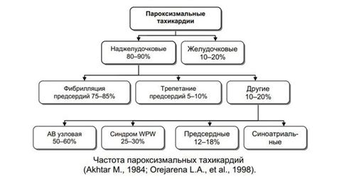 Пароксизмальная активность: определение и причины