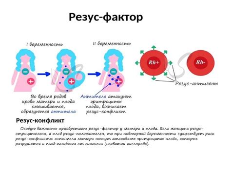 Патологии формирования крови у человека