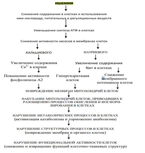 Патологические изменения в тканях при развитии кисты