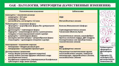 Патологические изменения размера гепатикохоледоха