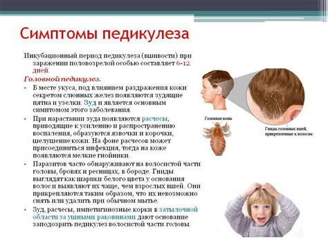 Педикулез: насекомые-паразиты, вызывающие зуд и дискомфорт