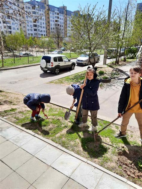 Первая причина: некачественная посадка растений