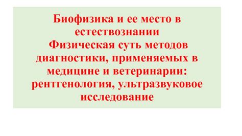 Первичный прием в медицине: суть и значение