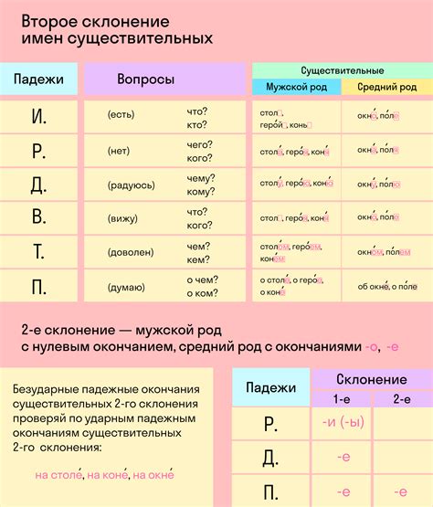 Первое склонение существительного: определение и примеры