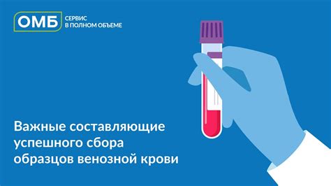 Первооткрыватель фармаси: важные составляющие набора