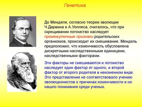 Переливание мёльцо во присном: предвещение оживления женственности и эволюции