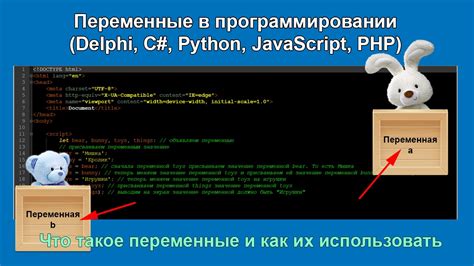 Переменная составляющая в программировании: определение и значение