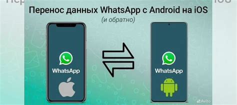 Перенос данных напрямую с iPhone: всё, что вам нужно знать