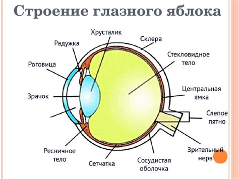 Переохлаждение глазного яблока