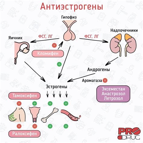 Перепады эстрогена