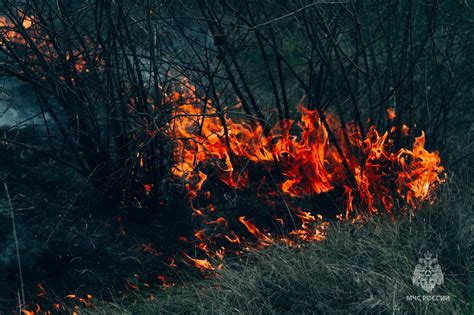 Переходные периоды: не забывайте о правилах!