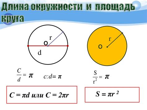 Периметр окружности и его формула