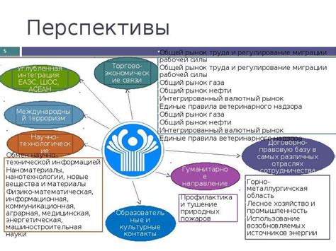 Перспективы дальнейшего развития и применения элемента №5