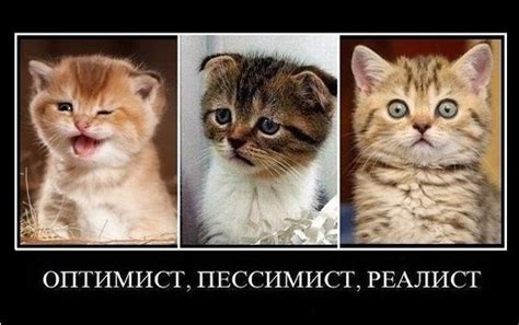 Пессимистка или реалистка?