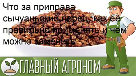 Пикантный парень: что это такое и в чем его особенности?