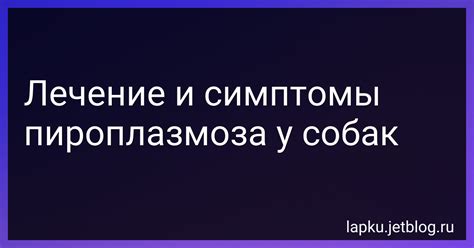 Пироплазмоз: основные причины и средства для лечения