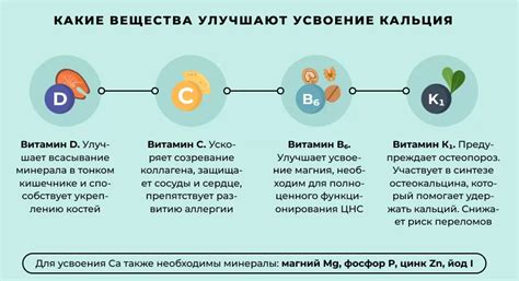 Питание для пополнения кальция