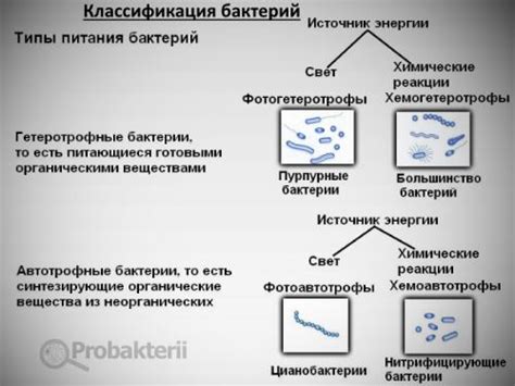 Питание и источники питания