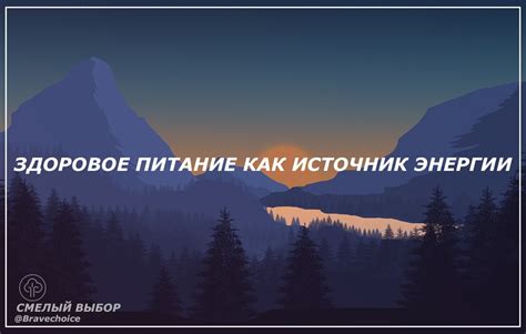 Питание как источник энергии