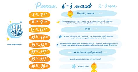 Питание новорожденного в 2 недели: режим и рацион