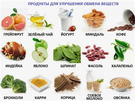 Питание при грыжах шморля: полезные продукты и ограничения