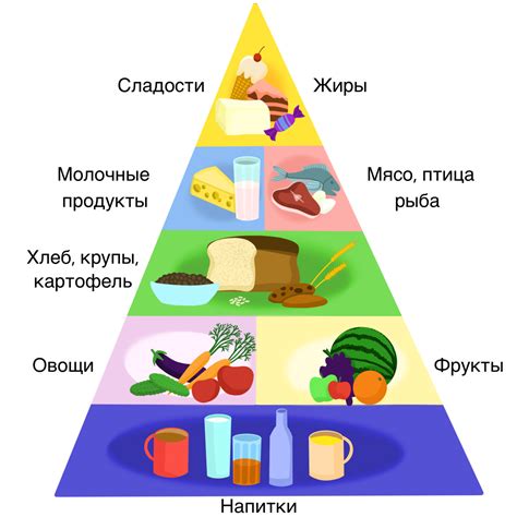 Питательные вещества для оптимального функционирования