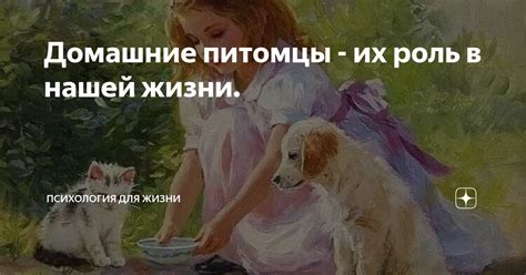 Питомцы: их роль в жизни человека