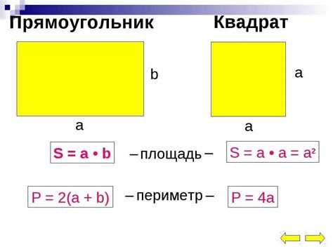 Площадь прямоугольника