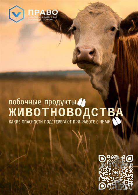 Побочные продукты: неизбежное явление