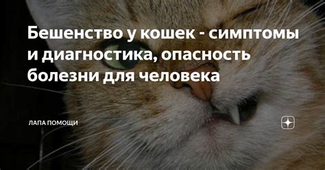 Поведенческие изменения у парней, которых отшили