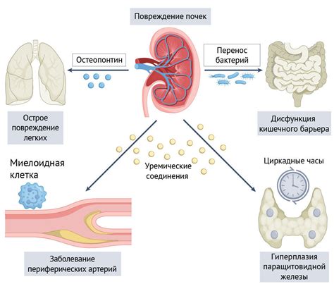 Повреждения почек