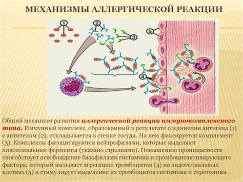 Повышение температуры в результате аллергической реакции