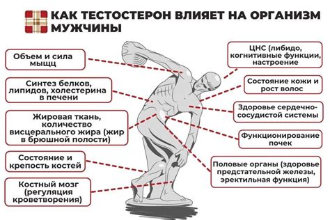 Повышение уровня гормона любви и связи