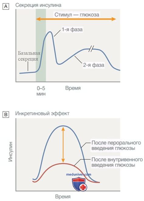 Повышение уровня инсулина