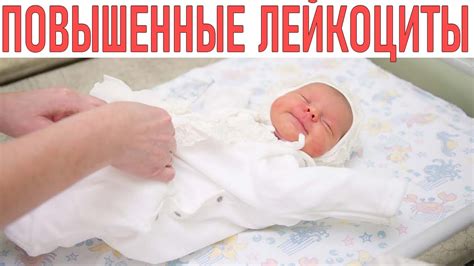 Повышенные лейкоциты у новорожденных