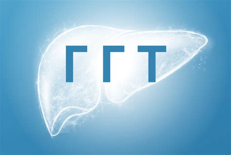 Повышенный уровень гГТ: симптомы и диагностика