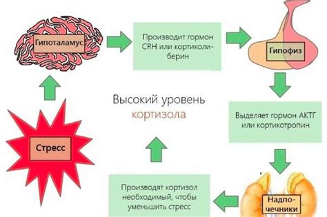 Повышенный уровень кортизола: