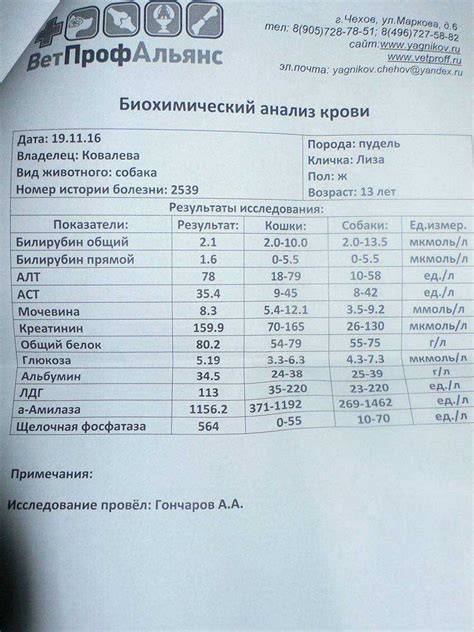 Повышенный уровень щелочной фосфатазы