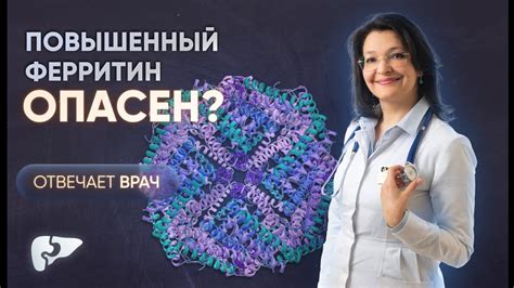 Повышенный ферритин у женщины: важная информация