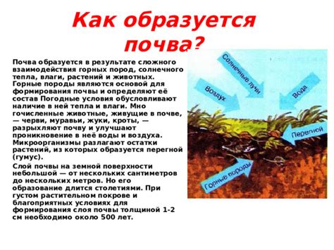 Погодные условия, при которых важна водостойкость 5000 мм