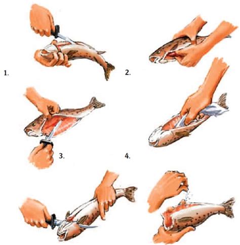 Подваривание рыбы после разделки: