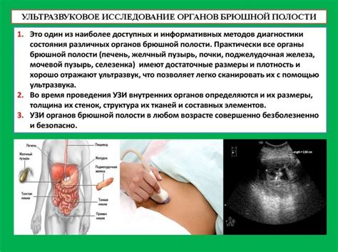 Подготовка к УЗИ брюшной полости и роль диеты