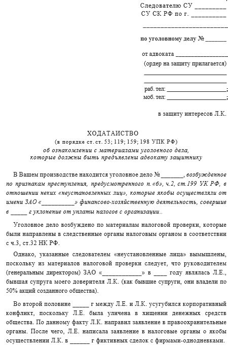 Подготовка ходатайства и заявления