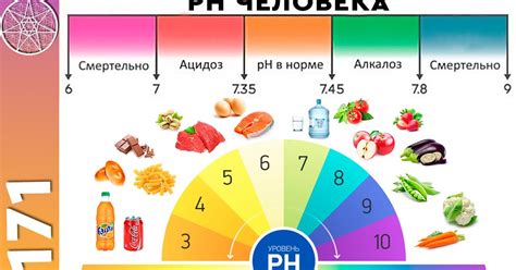 Поддержание кислотно-щелочного баланса в организме