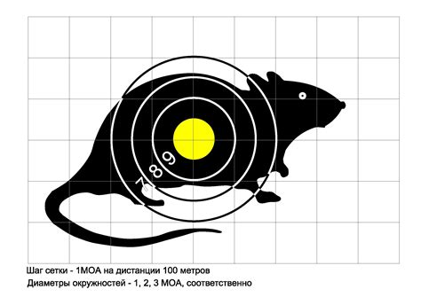 Подруга на мишени: дешифровка символов