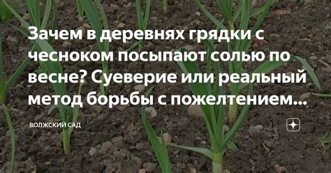 Поиски подковы в огороде: суеверие или знак?