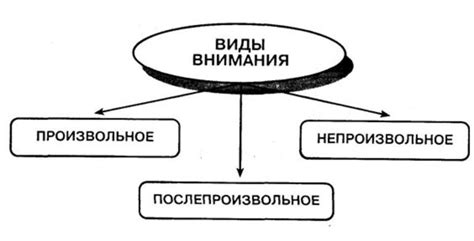 Поиск внимания и общения